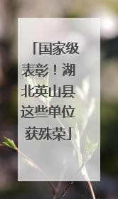 国家级表彰！湖北英山县这些单位获殊荣