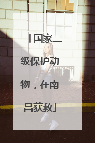 国家二级保护动物，在南昌获救