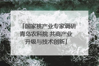 国家桃产业专家调研青岛农科院 共商产业升级与技术创新