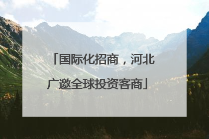 国际化招商，河北广邀全球投资客商