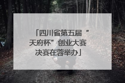 四川省第五届“天府杯”创业大赛决赛在蓉举办