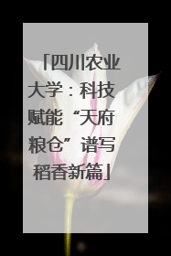 四川农业大学:科技赋能“天府粮仓”谱写稻香新篇