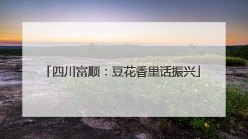 四川富顺：豆花香里话振兴