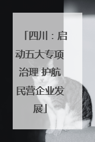四川：启动五大专项治理 护航民营企业发展