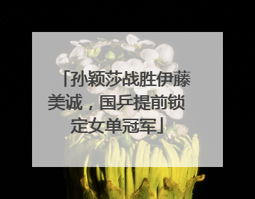 孙颖莎战胜伊藤美诚，国乒提前锁定女单冠军