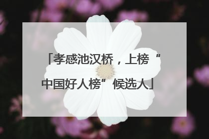 孝感池汉桥，上榜“中国好人榜”候选人