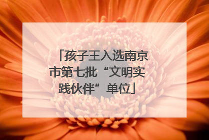 孩子王入选南京市第七批“文明实践伙伴”单位