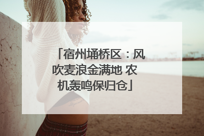 宿州埇桥区：风吹麦浪金满地 农机轰鸣保归仓