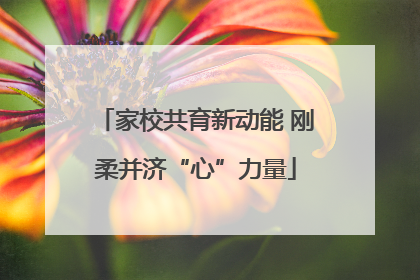 家校共育新动能 刚柔并济“心”力量