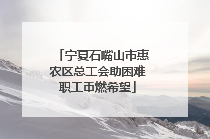 宁夏石嘴山市惠农区总工会助困难职工重燃希望