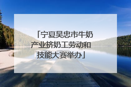 宁夏吴忠市牛奶产业挤奶工劳动和技能大赛举办