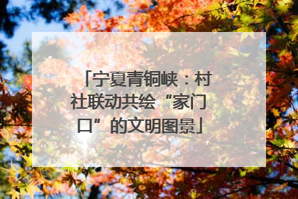 宁夏青铜峡：村社联动共绘“家门口”的文明图景