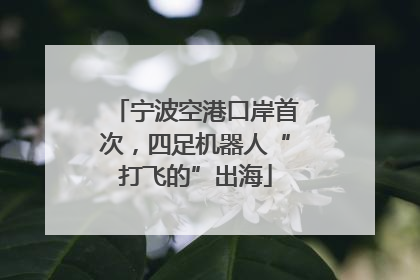宁波空港口岸首次，四足机器人“打飞的”出海