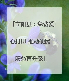 宁阳县：免费爱心打印 推动便民服务再升级