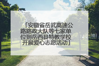 安徽省岳武高速公路路政大队等七家单位到岳西县特教学校开展爱心志愿活动