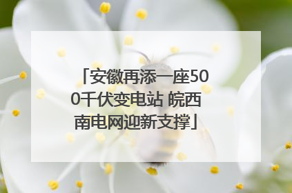 安徽再添一座500千伏变电站 皖西南电网迎新支撑