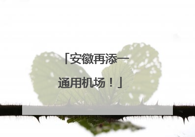安徽再添一通用机场！