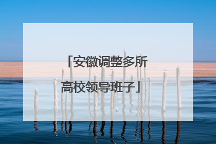 安徽调整多所高校领导班子