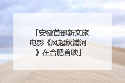 安徽首部新文旅电影《风起秋浦河》在合肥首映