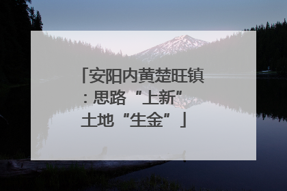 安阳内黄楚旺镇：思路“上新” 土地“生金”