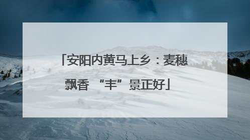 安阳内黄马上乡：麦穗飘香 “丰”景正好