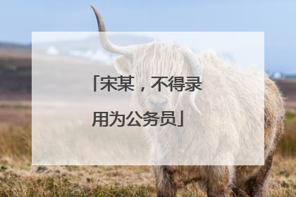 宋某，不得录用为公务员