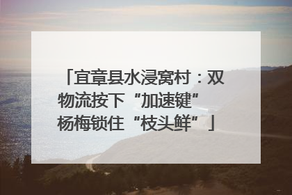 宜章县水浸窝村：双物流按下“加速键” 杨梅锁住“枝头鲜”