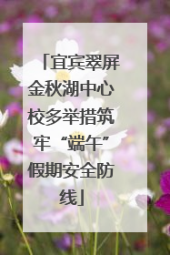 宜宾翠屏金秋湖中心校多举措筑牢“端午”假期安全防线