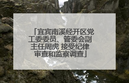 宜宾南溪经开区党工委委员、管委会副主任周虎 接受纪律审查和监察调查