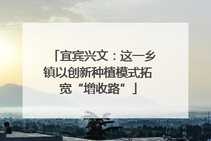 宜宾兴文：这一乡镇以创新种植模式拓宽“增收路”