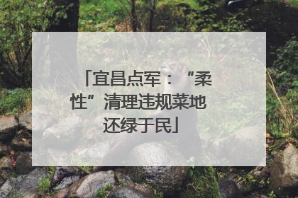 宜昌点军：“柔性”清理违规菜地 还绿于民
