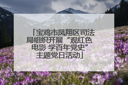 宝鸡市凤翔区司法局组织开展“观红色电影 学百年党史”主题党日活动