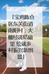 宝鸡陈仓区东关街道南阳村：大棚经济结硕果 绘就乡村振兴新图景