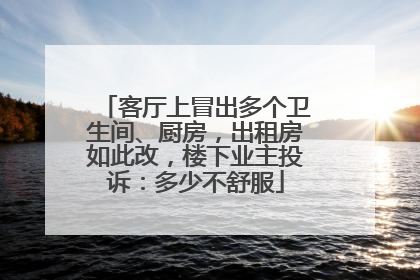 客厅上冒出多个卫生间、厨房，出租房如此改，楼下业主投诉：多少不舒服