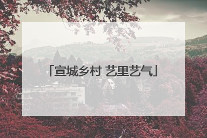 宣城乡村 艺里艺气