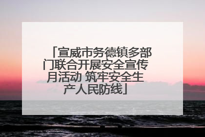 宣威市务德镇多部门联合开展安全宣传月活动 筑牢安全生产人民防线