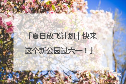 夏日放飞计划｜快来这个新公园过六一！
