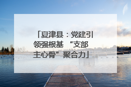 夏津县：党建引领强根基 “支部主心骨”聚合力