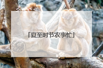 夏至时节农事忙