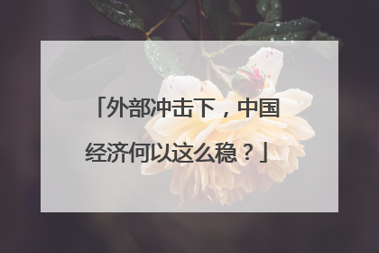 外部冲击下，中国经济何以这么稳？