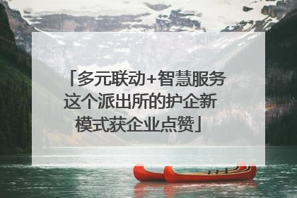 多元联动+智慧服务 这个派出所的护企新模式获企业点赞