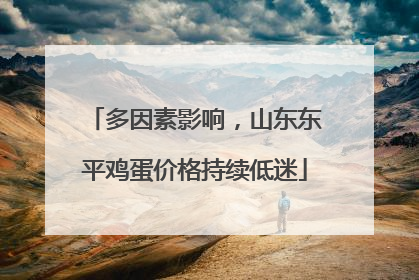 多因素影响，山东东平鸡蛋价格持续低迷