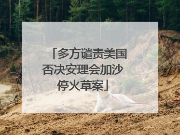 多方谴责美国否决安理会加沙停火草案