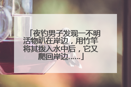 夜钓男子发现一不明活物趴在岸边，用竹竿将其拨入水中后，它又爬回岸边……