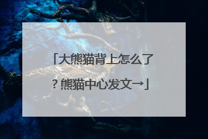 大熊猫背上怎么了？熊猫中心发文→