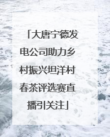 大唐宁德发电公司助力乡村振兴坦洋村春茶评选赛直播引关注