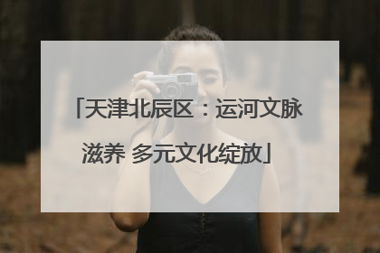 天津北辰区：运河文脉滋养 多元文化绽放