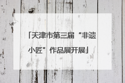 天津市第三届“非遗小匠”作品展开展