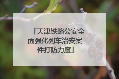 天津铁路公安全面强化列车治安案件打防力度