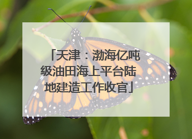 天津：渤海亿吨级油田海上平台陆地建造工作收官